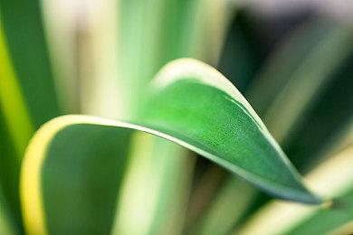 《异度神剑3》公布诺亚、弥央人物预告 游戏现已发售